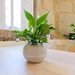 Portocasa Semesterbostad