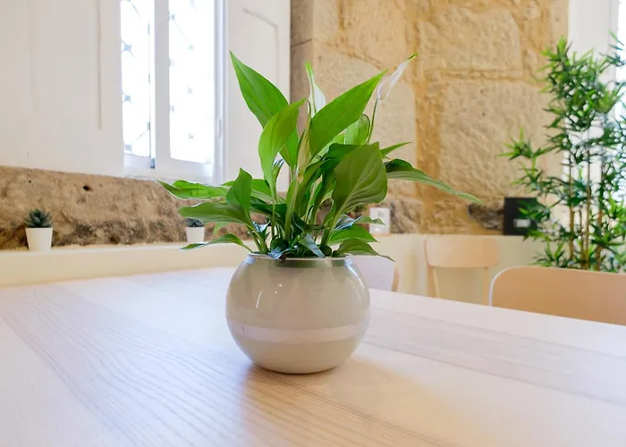 Portocasa Ferienhaus